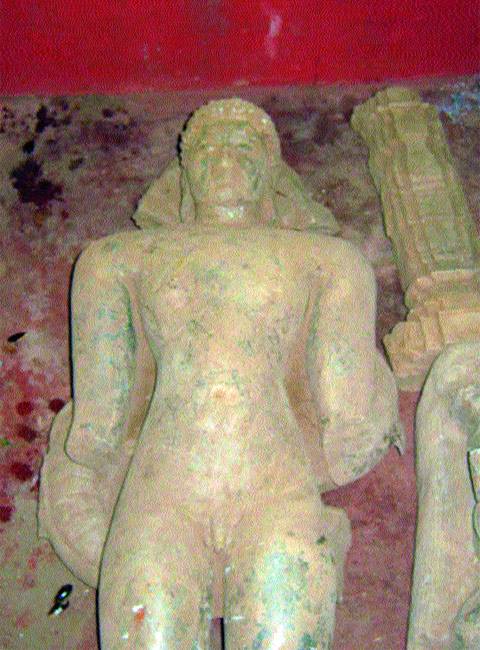 Halsi Jain Idol