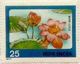 Red Lotus - Symbol of 21st Jain Tirthanakar Naminath