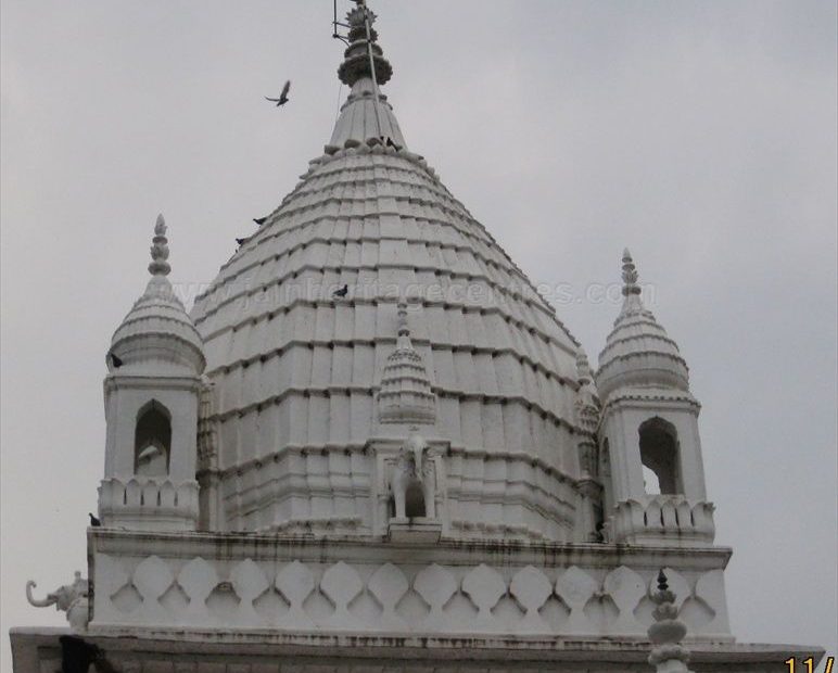 Pinnacle/Shikara of Parshwanath Jain temple at Pateriya.