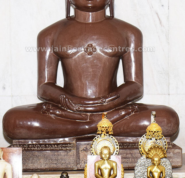 The idol of Tirthankar Adinath in padmasana along with other Jain idols, Sri Adinath DigambarJain Temple, Mehsana District, Gujarat, India.