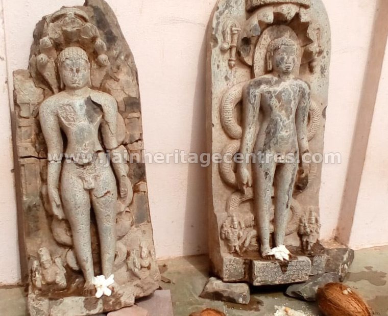 The two Parshwanath Tirthankar Idols kept besides the Chandranath Digambar Jain Temple.