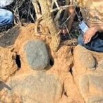 Telangana's 10th century Jain sculptures in a state of neglect